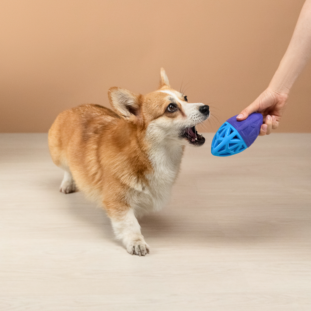 VETTA Игрушка для домашних животных, ТПР, 15х7 см - #10