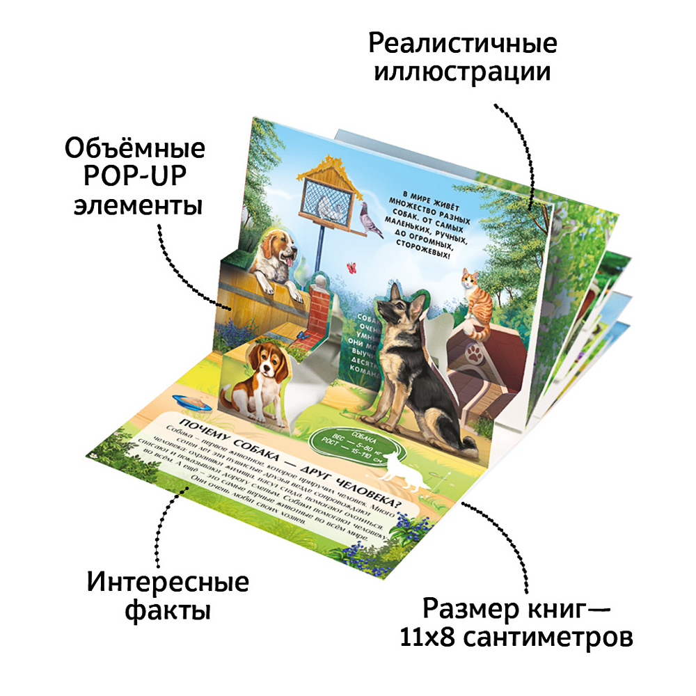 Набор 6 книг "Карманная POP-UP энциклопедия, 12х8,5х8,5 см, картон, 10 стр., 2 дизайна - #15