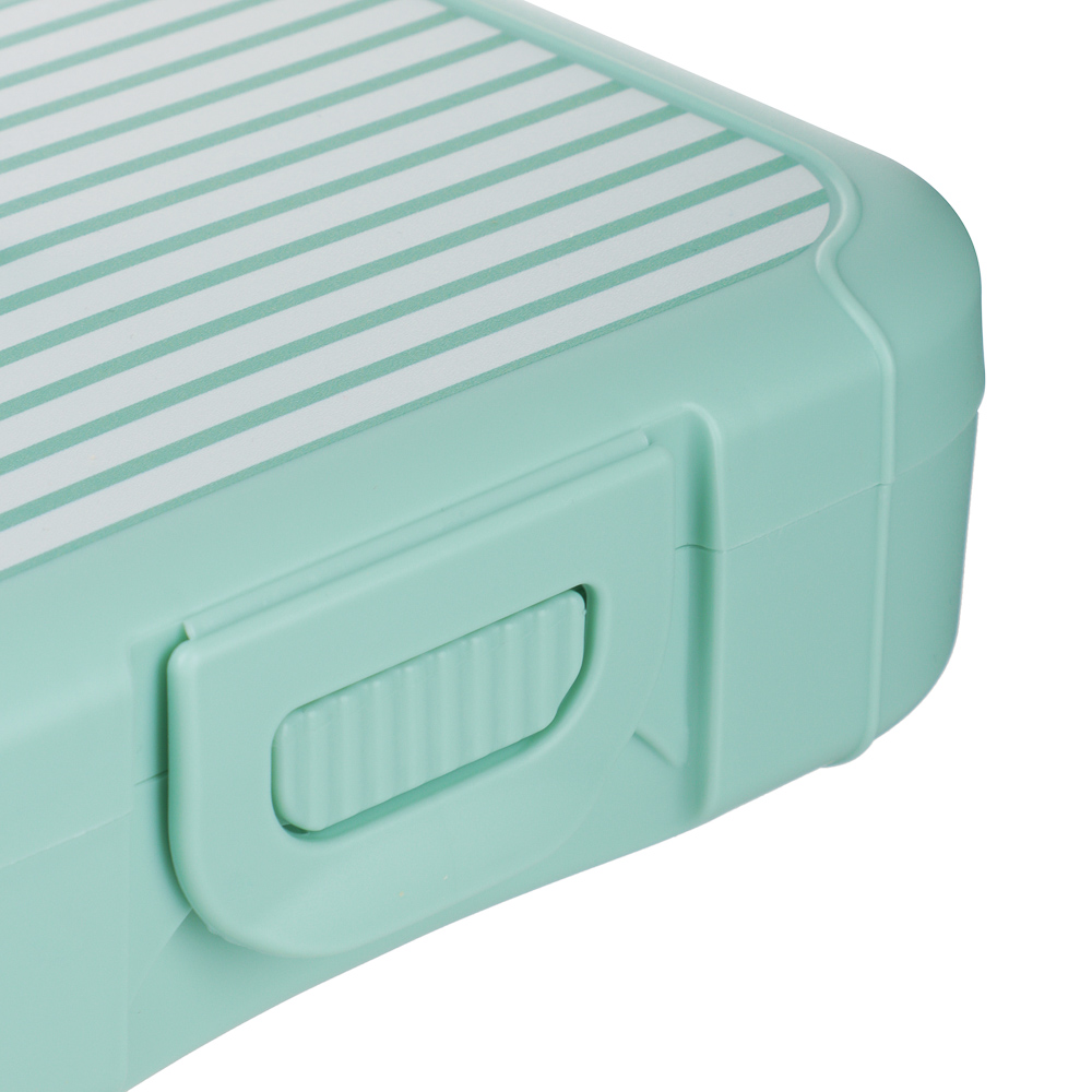 Черри Ланч-бокс 0,85л (18х12,5х5,5см), пластик, 2 цвета - #3