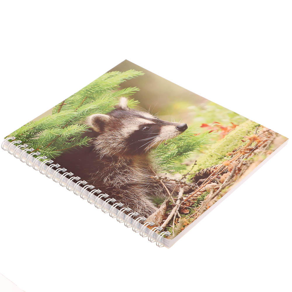 Тетрадь общая на спирали 80л. в клетку, обл.мел. картон, БЕЛЫЕ ЛИСТЫ, микс - #13