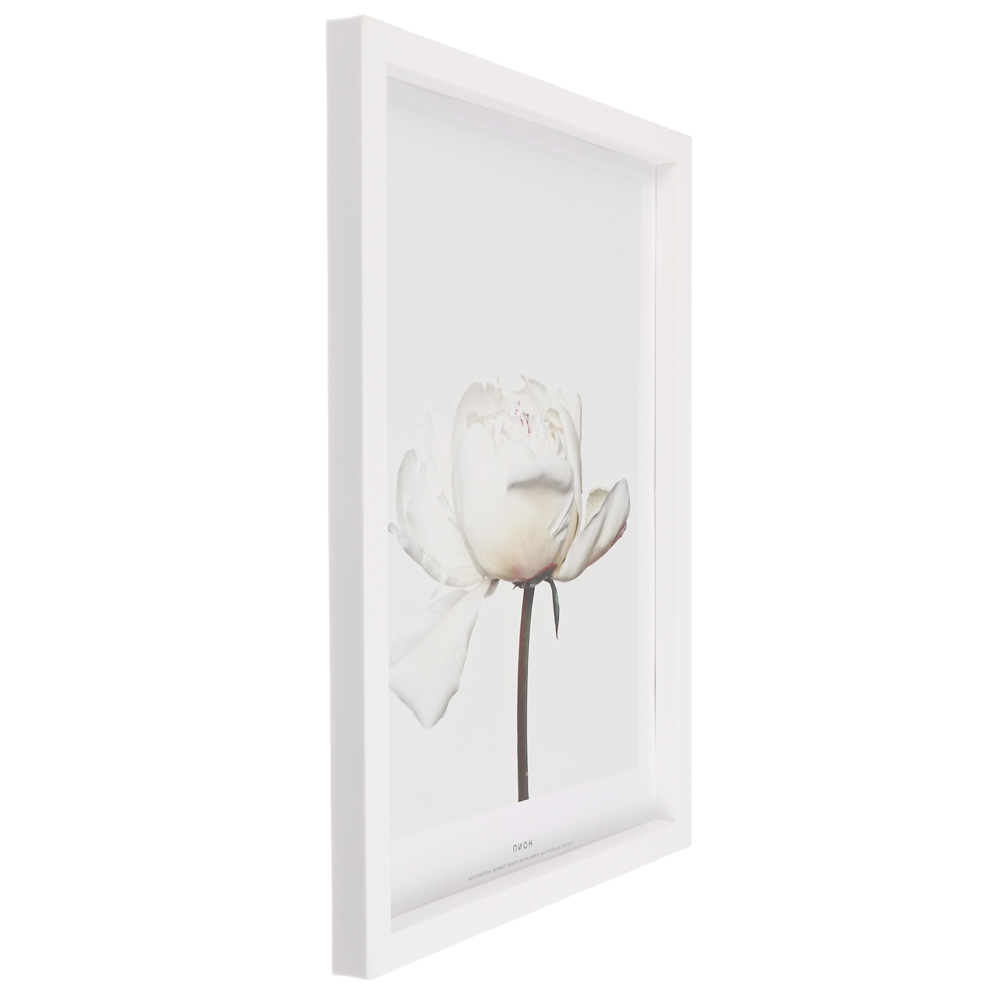 Постер 21x30 см, пластик, в ассортименте - #3