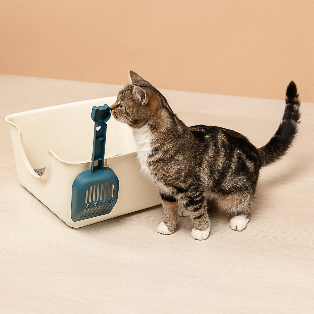 VETTA Совок для домашних животных, пластмасса, 28х10 см - #16