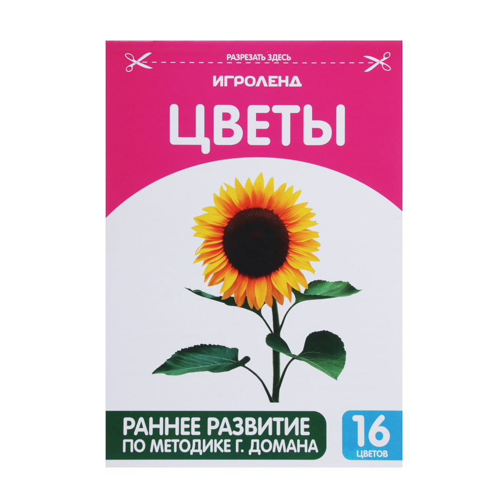 ИГРОЛЕНД Книжка обучающая по методике Г. Домана, бумага, 12х17см, 16 дизайнов - #2