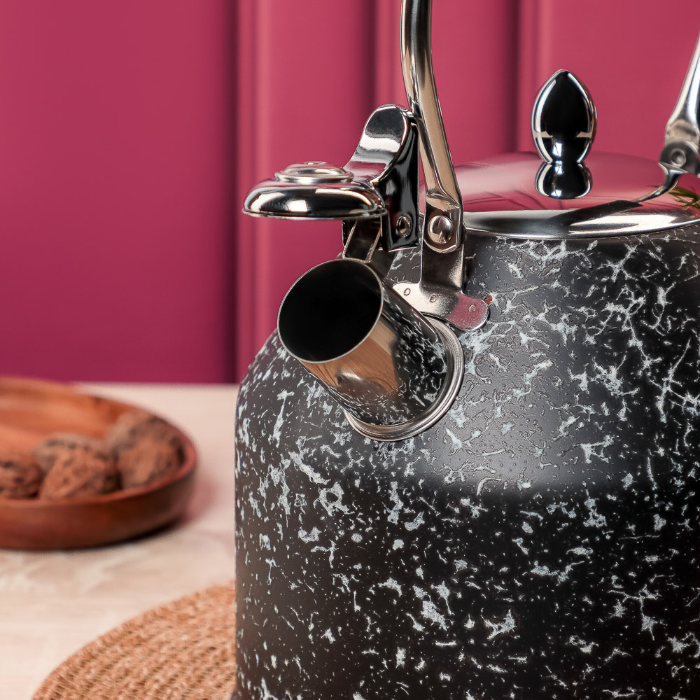 VETTA Чайник стальной 2,7л "Терра", индукция - #9