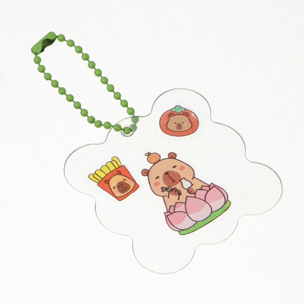 Записная книжка "Капибара" 10х13см, с наклейками, брелоком и лопаткой, PET, бумага, 6 диз., шоу-бокс - #9