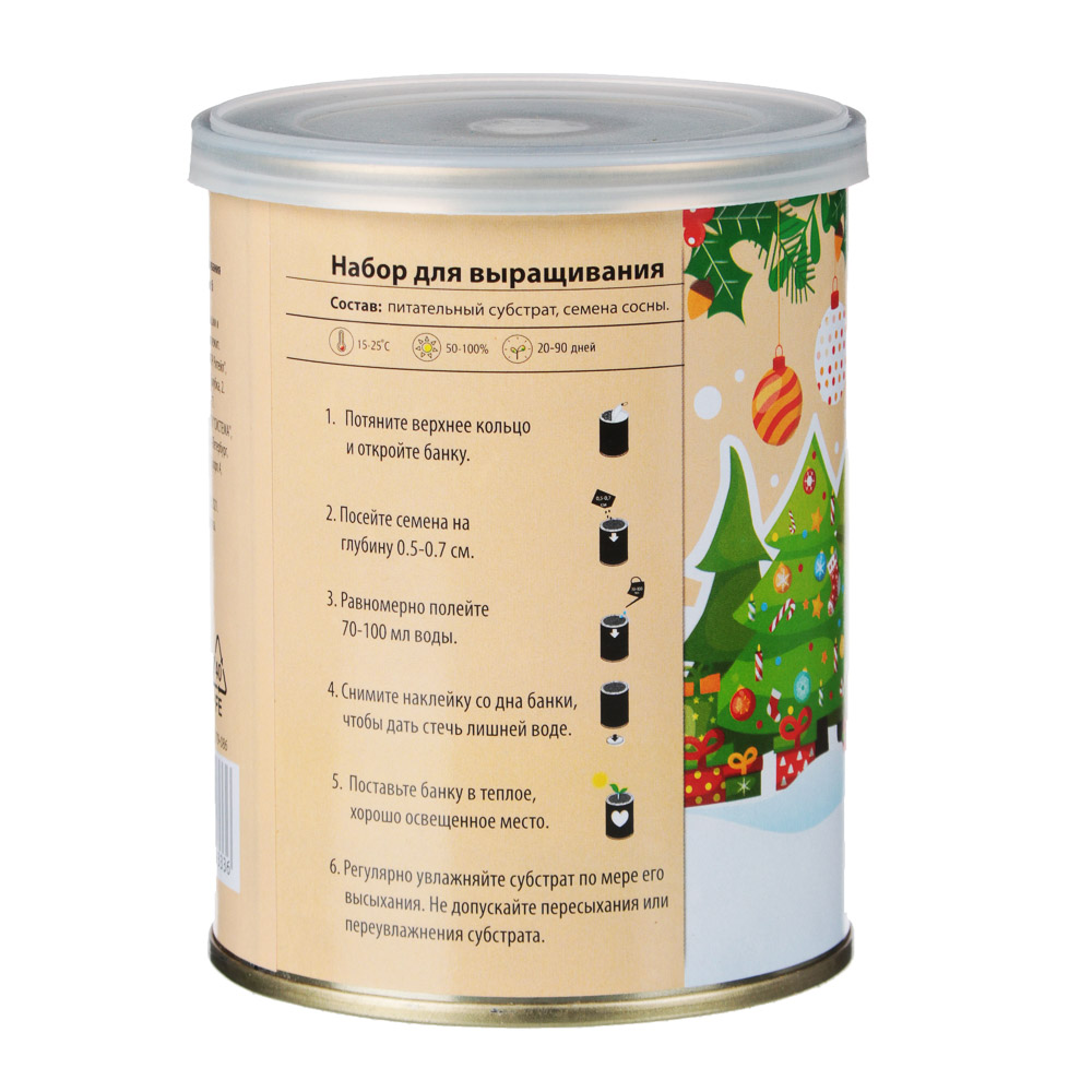 Набор для выращивания "Хвойные", ж/б банка 4 вида - #3