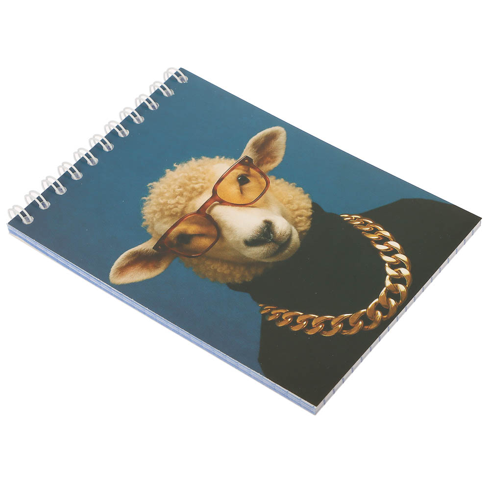 Блокнот А6, 40 листов, офсет, обложка картон, спираль, в клетку, 9 диз. - #14