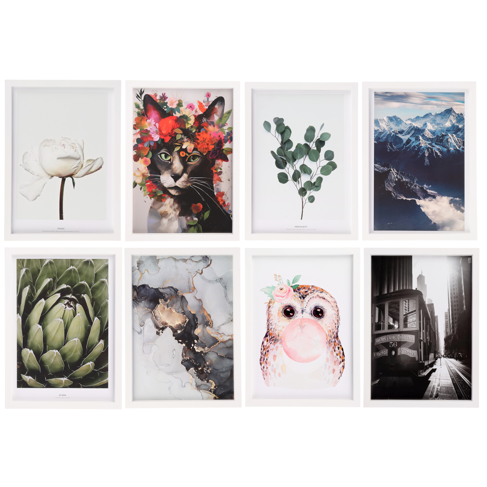 Постер 21x30 см, пластик, в ассортименте - #1