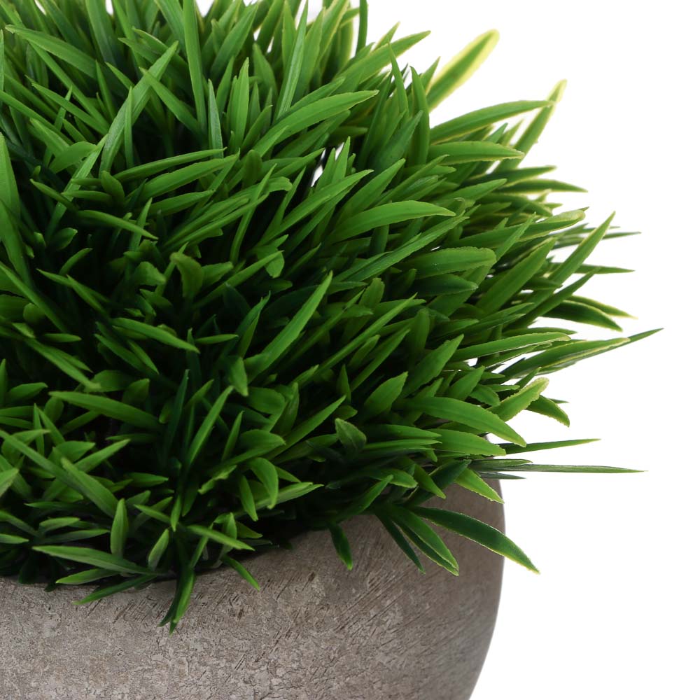 LADECOR Искусственная зелень в кашпо, 9,5x9,5x11,5 см, пластик, целлюлоза, 2 цвета - #4