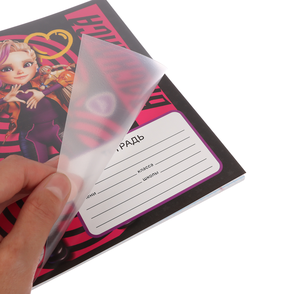 BY Русские Супергерои Тетрадь шк. 24л. "Василиса", в клетку, офсет, обл.пластик, скрепка, 4диз - #3