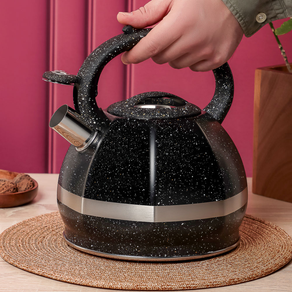 VETTA Чайник стальной 2,9л "Мартино", индукция - #14