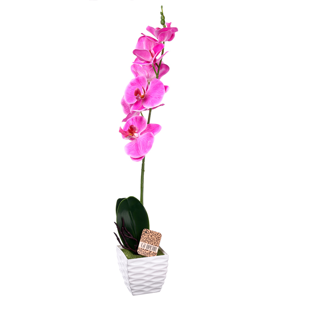 Цветочная композиция Ladecor "Орхидеи", в декоративном горшке - #5