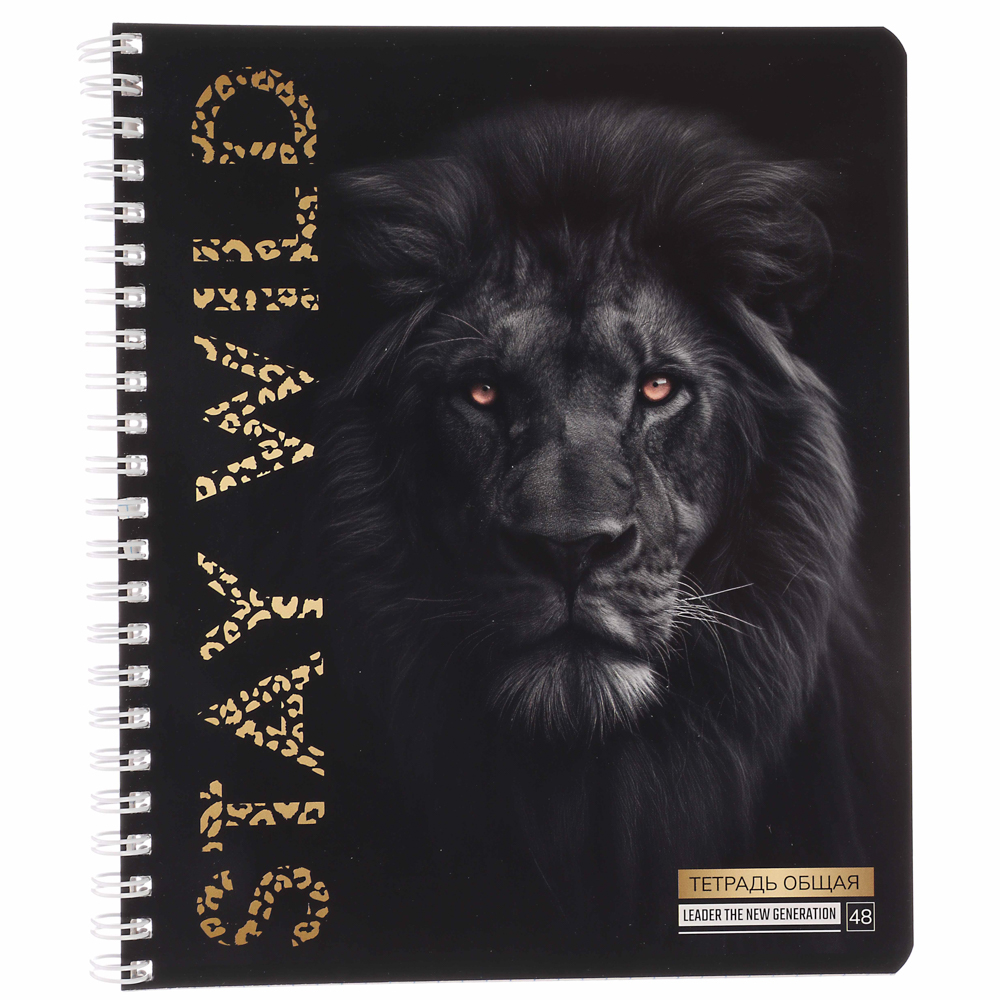 Тетрадь общая 48 листов в клетку, блок№2, обложка картон, спираль 5 диз - #12