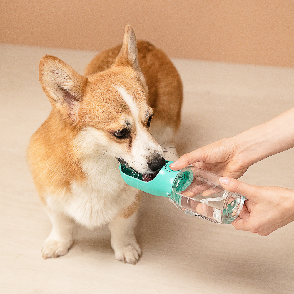 VETTA Поилка для домашних животных, пластмасса, 22х6,5 см - #9