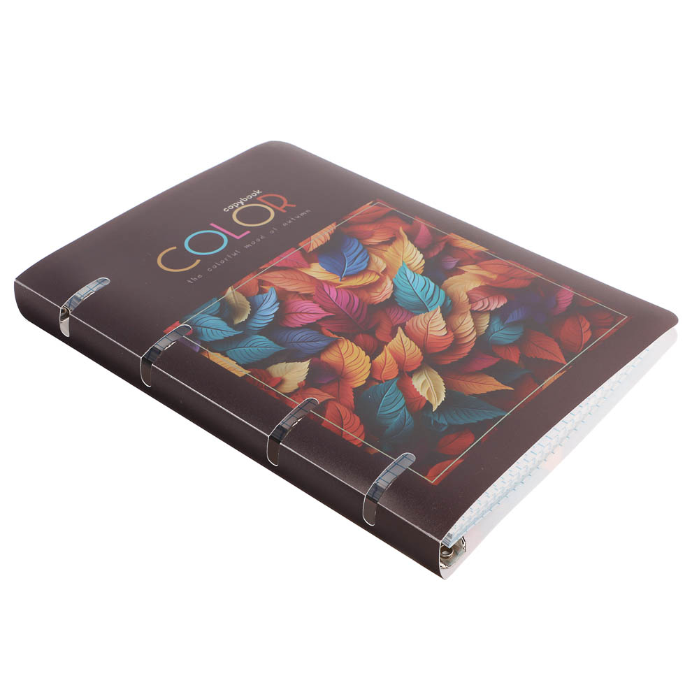 Тетрадь на кольцах А5, 80 л., клетка, обложка пластик, белый блок, микс - #11