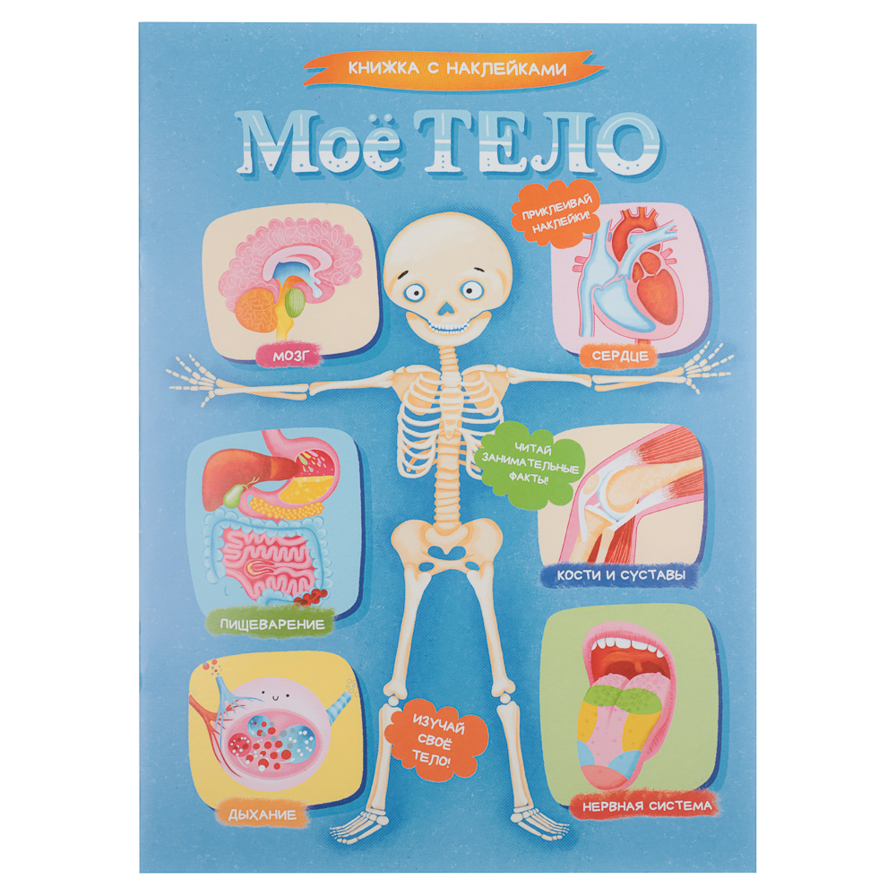 УИД Книжка с наклейками "Мое тело", бумага, 32 стр., 21х29см - #1