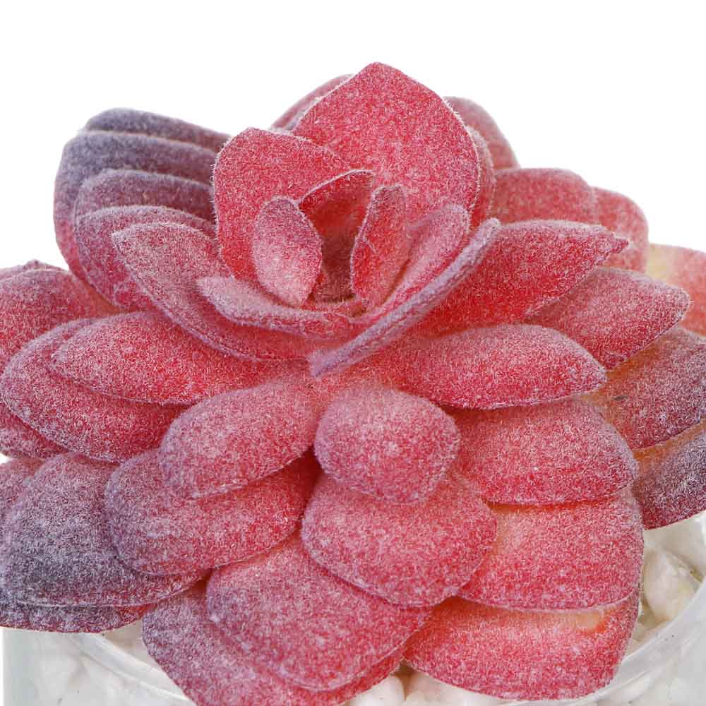 LADECOR Суккулент искусственный, 5х9-11 см, пластик, 3 дизайна - #4