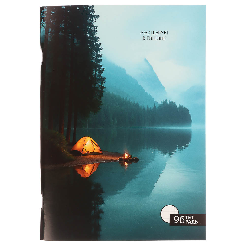 ClipStudio Тетрадь общая А4, 96 листов, в клетку, БЕЛЫЕ ЛИСТЫ, обложка картон, скрепка, 4 диз - #9