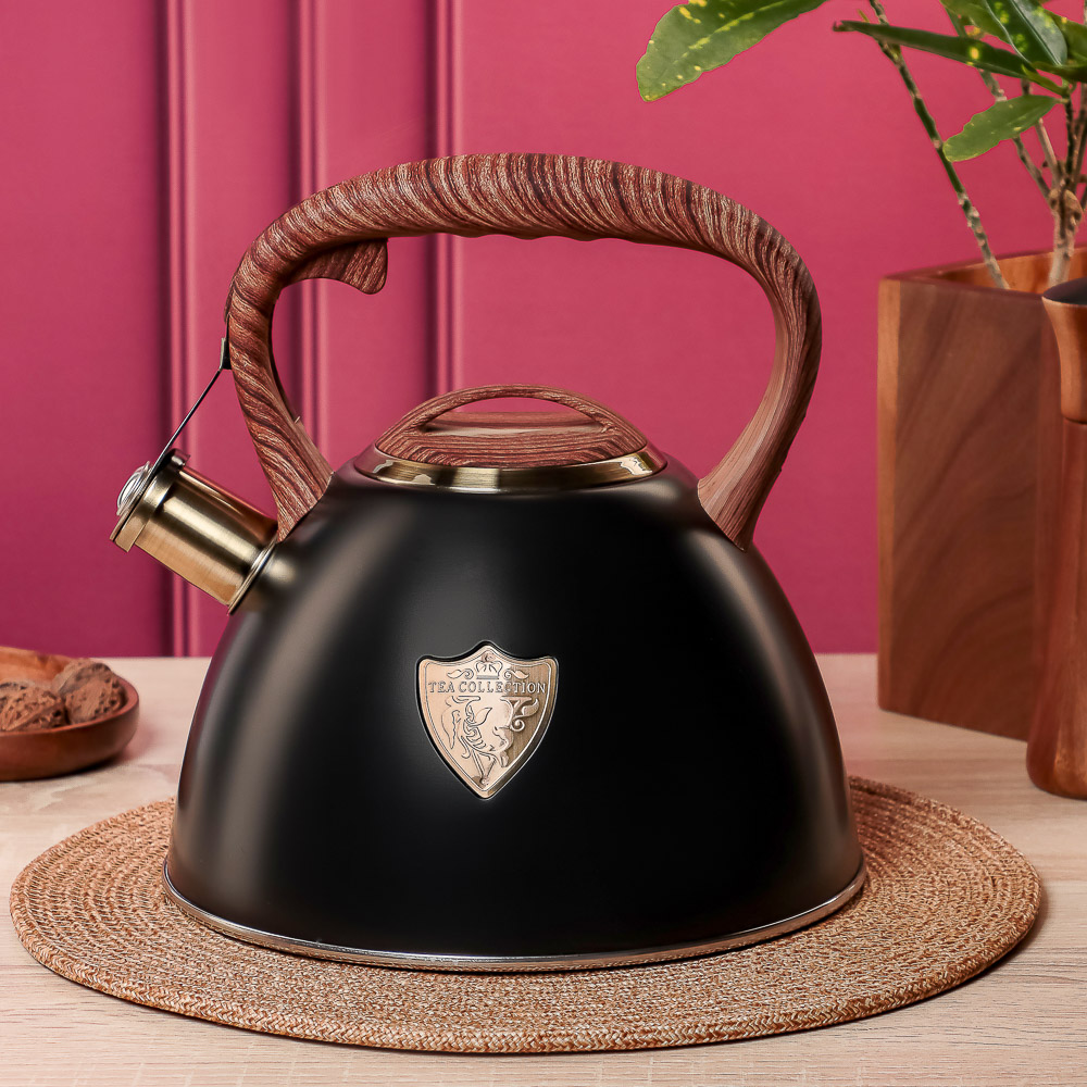 VETTA Чайник стальной 2,8л "Форно", индукция - #12