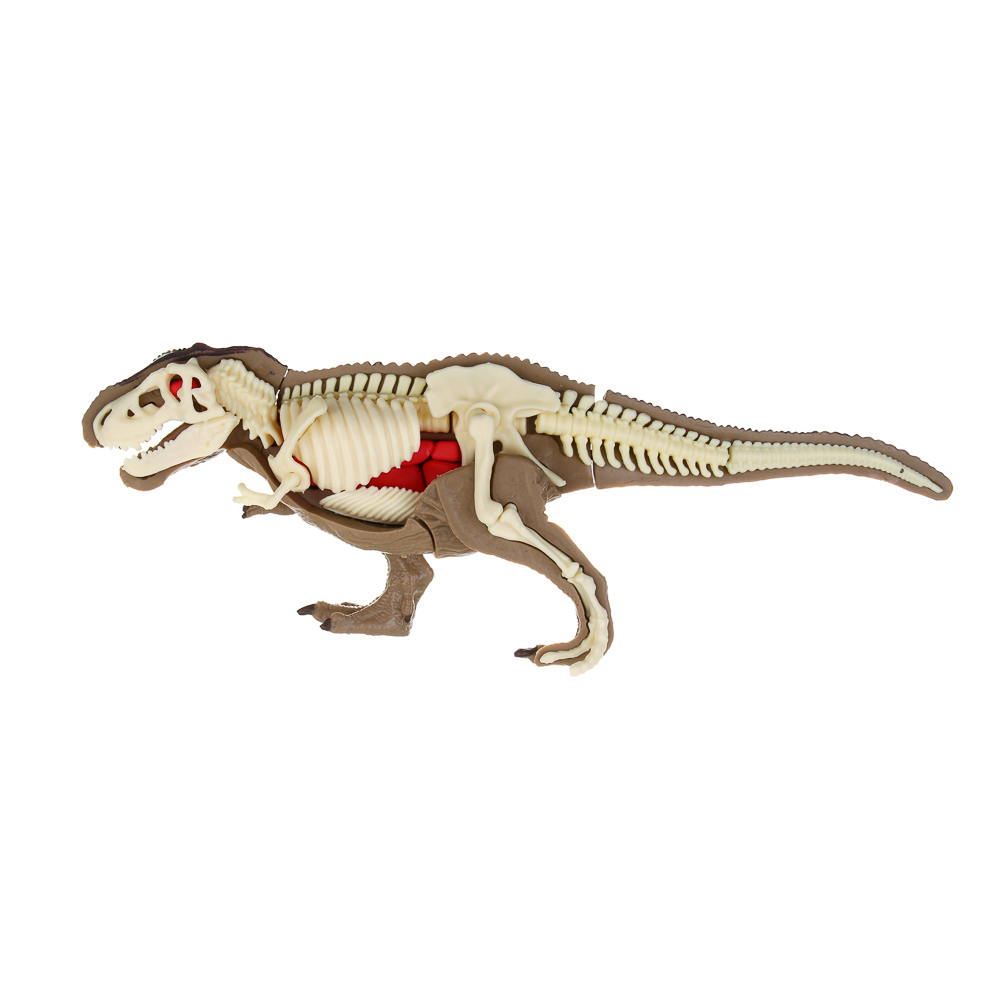 ХОББИХИТ Набор для творчества "Скелет Динозавра" 16х5х16см, 3 дизайна - #9