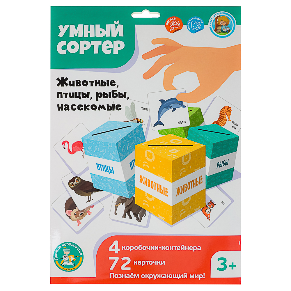 10 КОРОЛЕВСТВО Развивающая игра "Умный сортер", картон, 21,5х32х0,5см, 5 дизайнов - #9