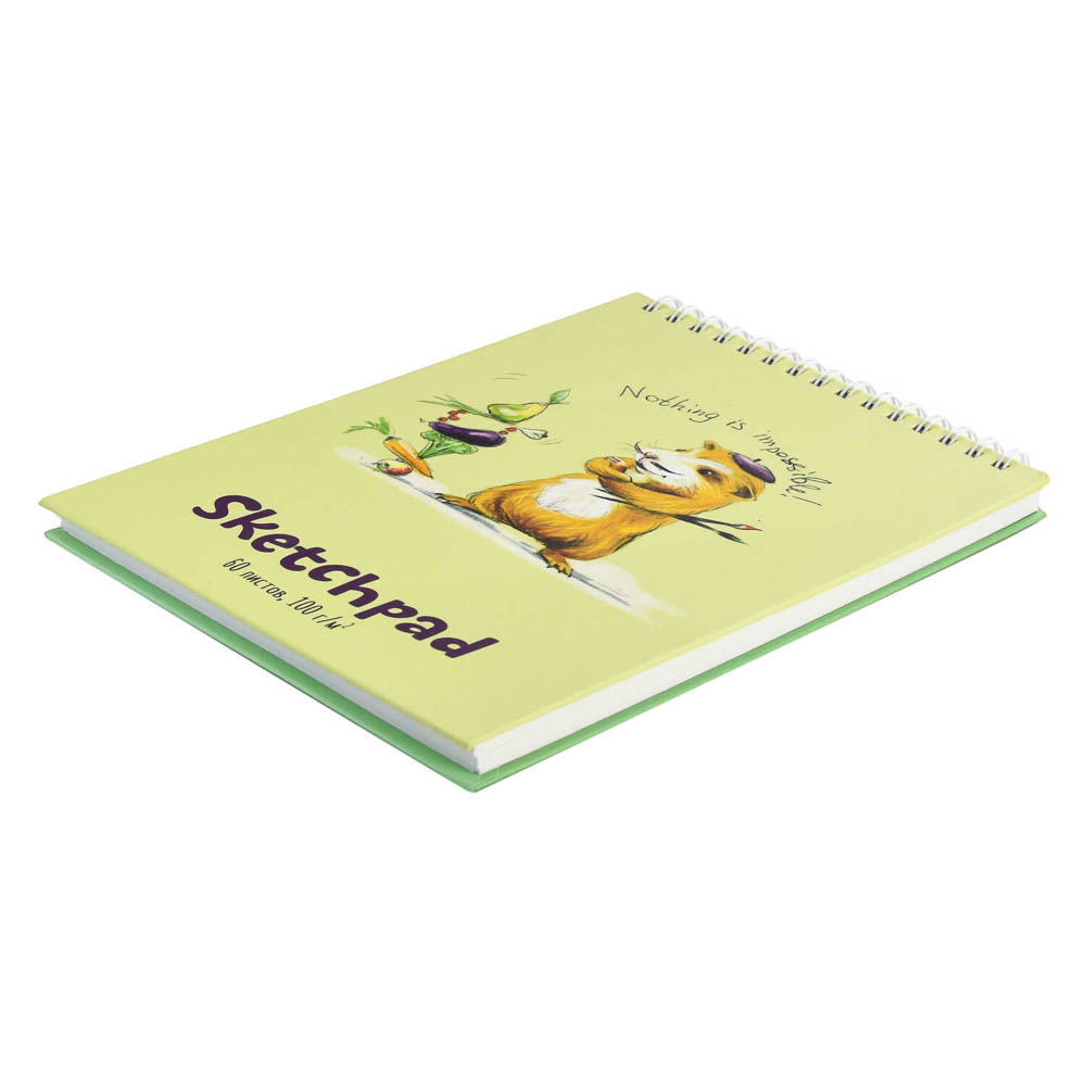 Скетчбук А5 (альбом), жёсткая подложка, спираль, в ассортименте - #9