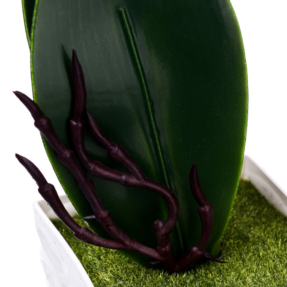 Цветочная композиция Ladecor "Орхидеи", в декоративном горшке - #4