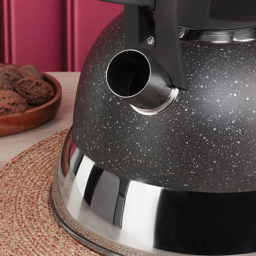 SATOSHI Чайник стальной 2,7л "Гардан", индукция - #10