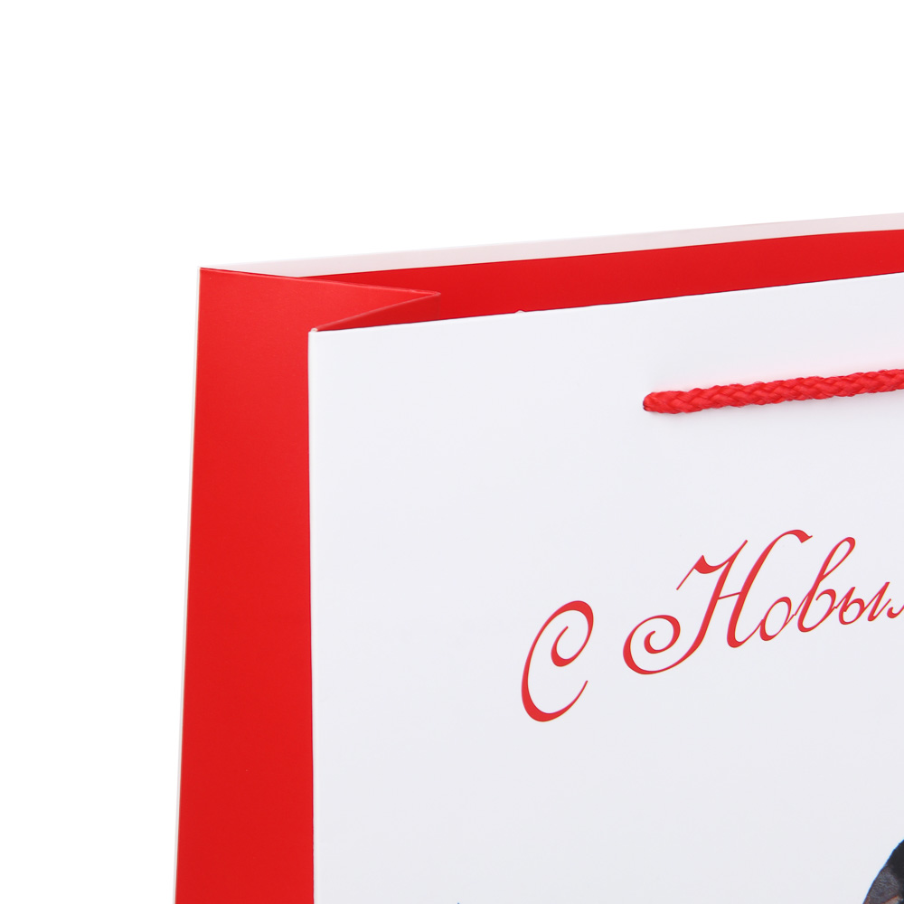 Пакет тм СНОУ БУМ подарочный, 26x32x10см, бумага, арт.29, 3 дизайна - #3