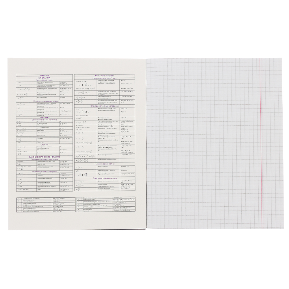 ClipStudio Тетрадь 48л. "Предметная", БЕЛЫЕ ЛИСТЫ, обл.картон, скрепка, 7 видов, справ.мат-л - #31