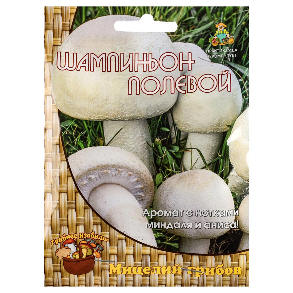 Семена Мицелиев грибов - рекомендуемый минимальный вес 100 г мицелия для 1 грибницы