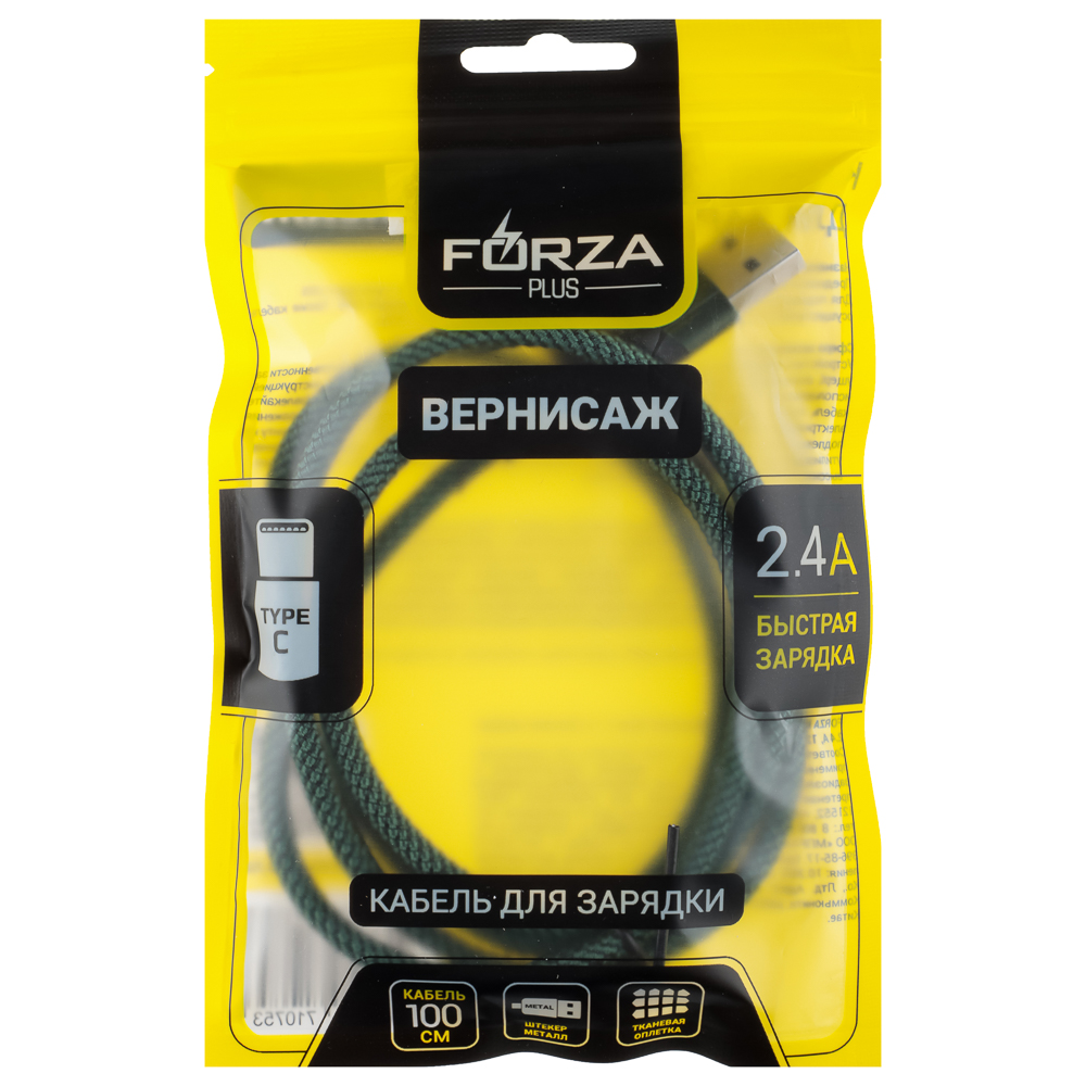 FORZA Кабель для зарядки Вернисаж Type-C, 1м, Быстрая зарядка 2.4А, 12W, тканевый , 3 цвета - #12