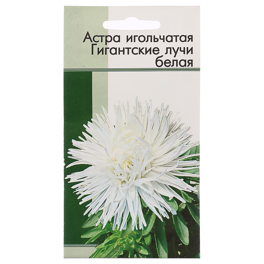 Семена Астра игольчатая Гигантские лучи Белая 0,2 гр - #1