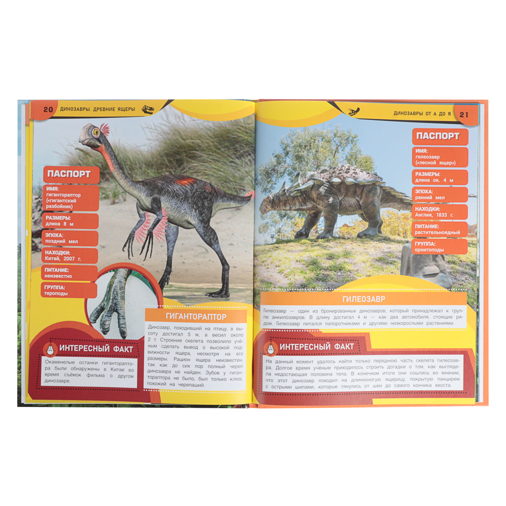 УМКА Книжка "Энциклопедия", Твердый переплет, 19,7х25,5см, 48 стр., 5 дизайнов - #1