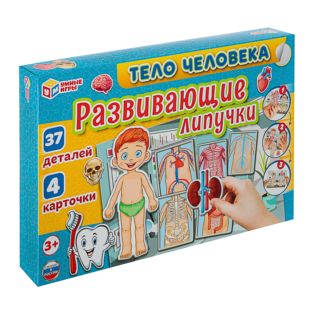 УМКА Развивающая игра "Липучки. Тело человека", в коробке, 28,5x19х3,5см - #1