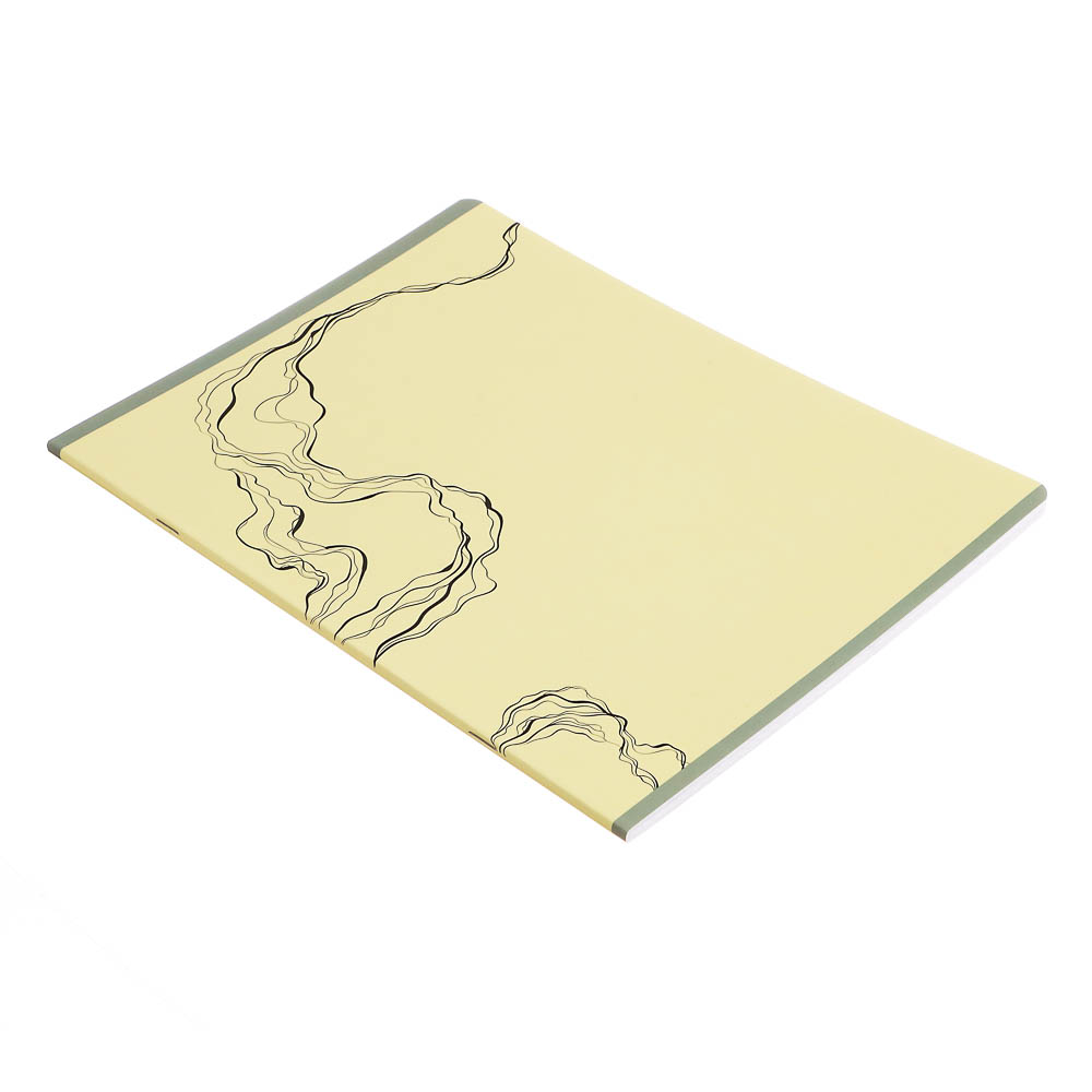 Тетрадь общая "Botanica", формат А4, 48л. в клетку, на скобе, скругленные углы, в ассортим. - #12