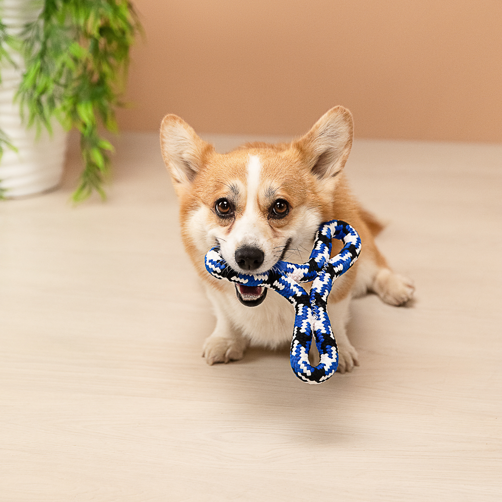 VETTA Игрушка для домашних животных, хлопок, 14х22 см - #11