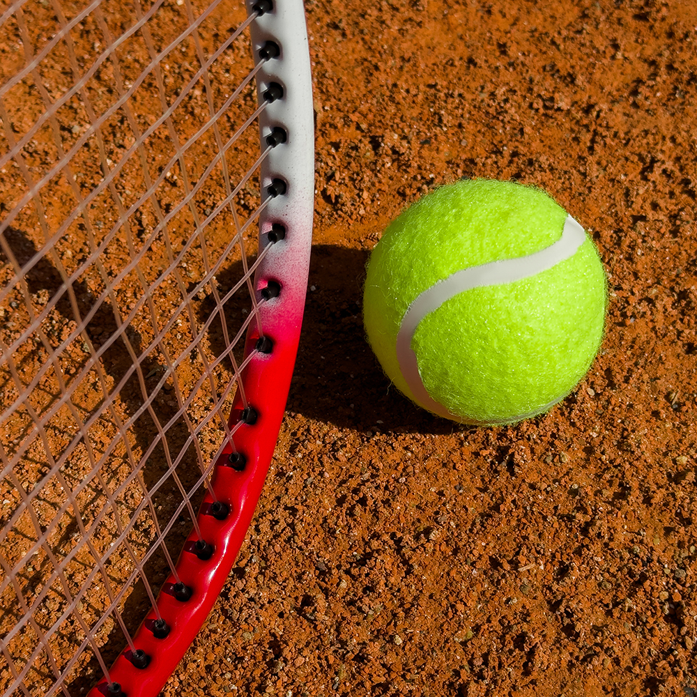 Набор для большого тенниса: 2 ракетки, мяч, в чехле, металл, пластик, SILAPRO - #16
