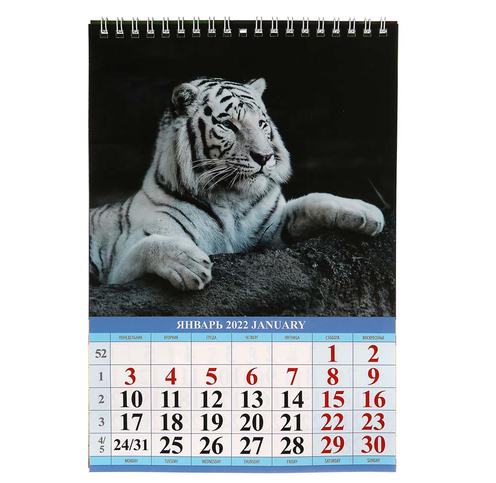 Календарь настенный перекидной, "Символ года. Вид 1", бумага, 17х25см, 2022 - #2