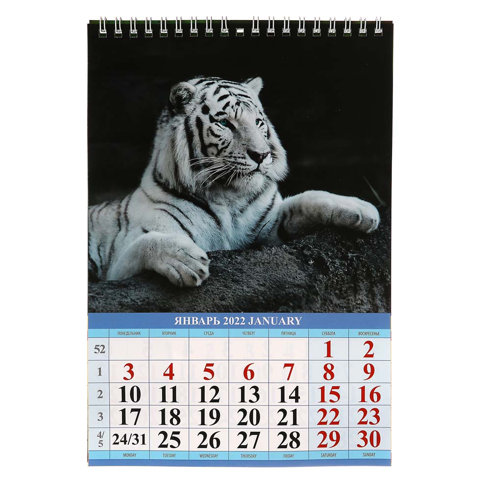 Календарь настенный перекидной, "Символ года. Вид 1", бумага, 17х25см, 2022 - #2