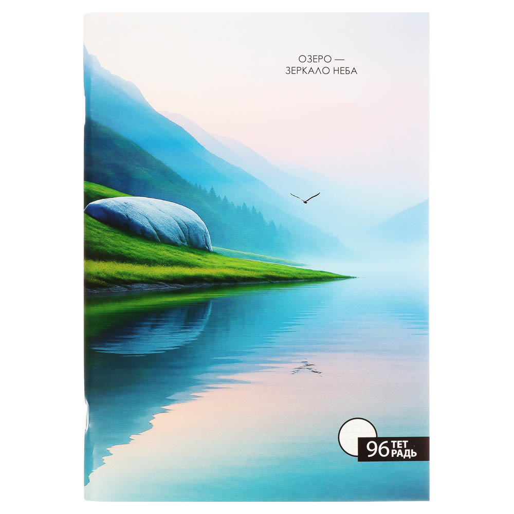 ClipStudio Тетрадь общая А4, 96 листов, в клетку, БЕЛЫЕ ЛИСТЫ, обложка картон, скрепка, 4 диз - #6