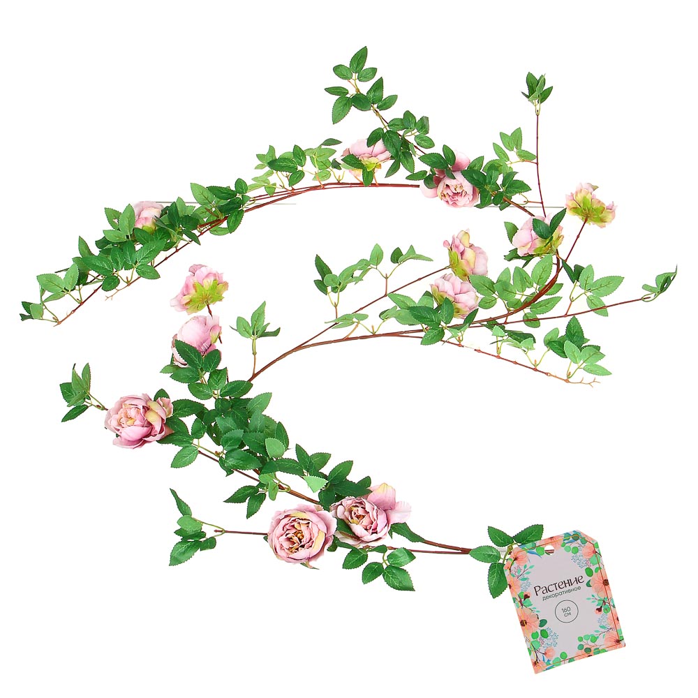 Растение декоративное, лиана с цветами - #10