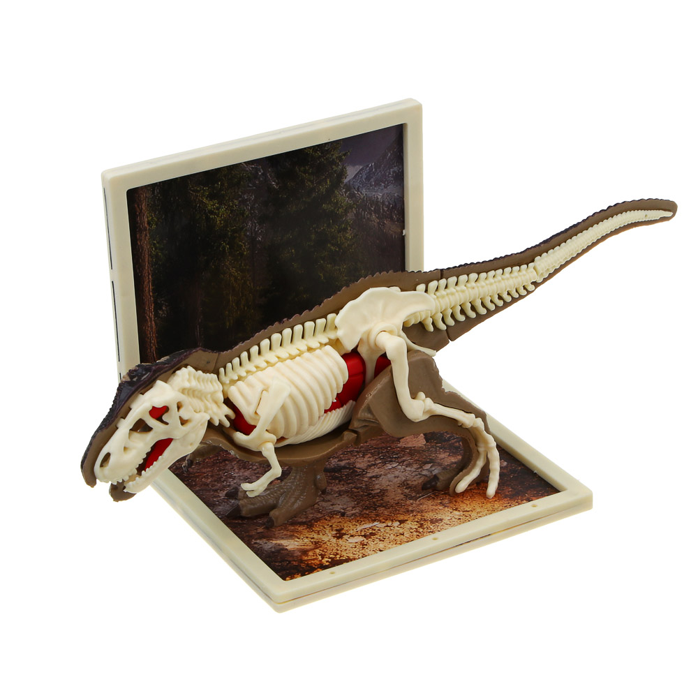 ХОББИХИТ Набор для творчества "Скелет Динозавра" 16х5х16см, 3 дизайна - #5