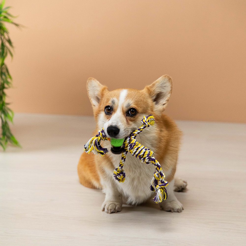 VETTA Игрушка для домашних животных, хлопок, резина, 32,5х4,5 см - #12