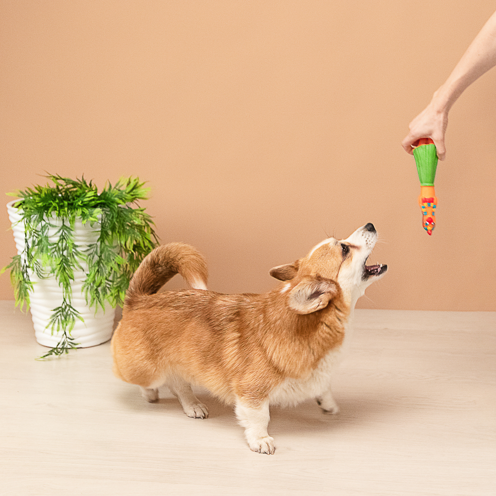 VETTA Игрушка для домашних животных, ПВХ, 25,5х6 см, танцовщица - #12