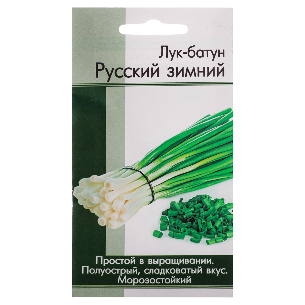 Семена лук-батун "Русский зимний" - #1