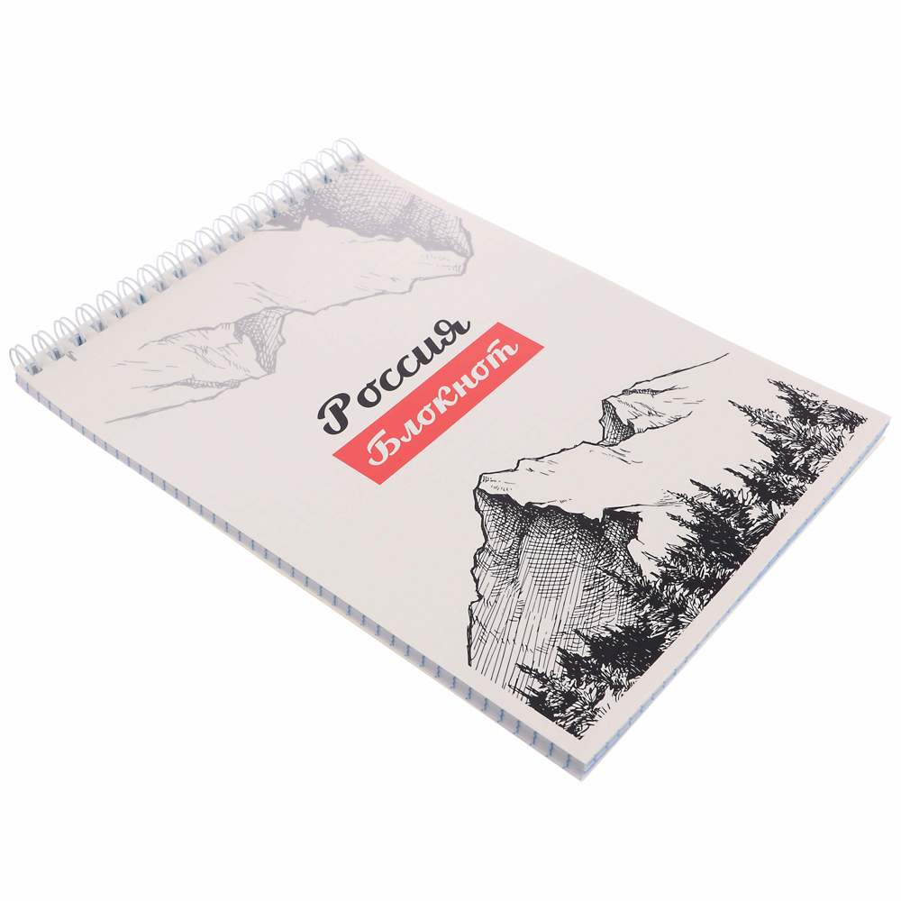 ClipStudio Блокнот А5, 40 листов, офсет, обложка картон, спираль, в клетку 8 диз. - #19