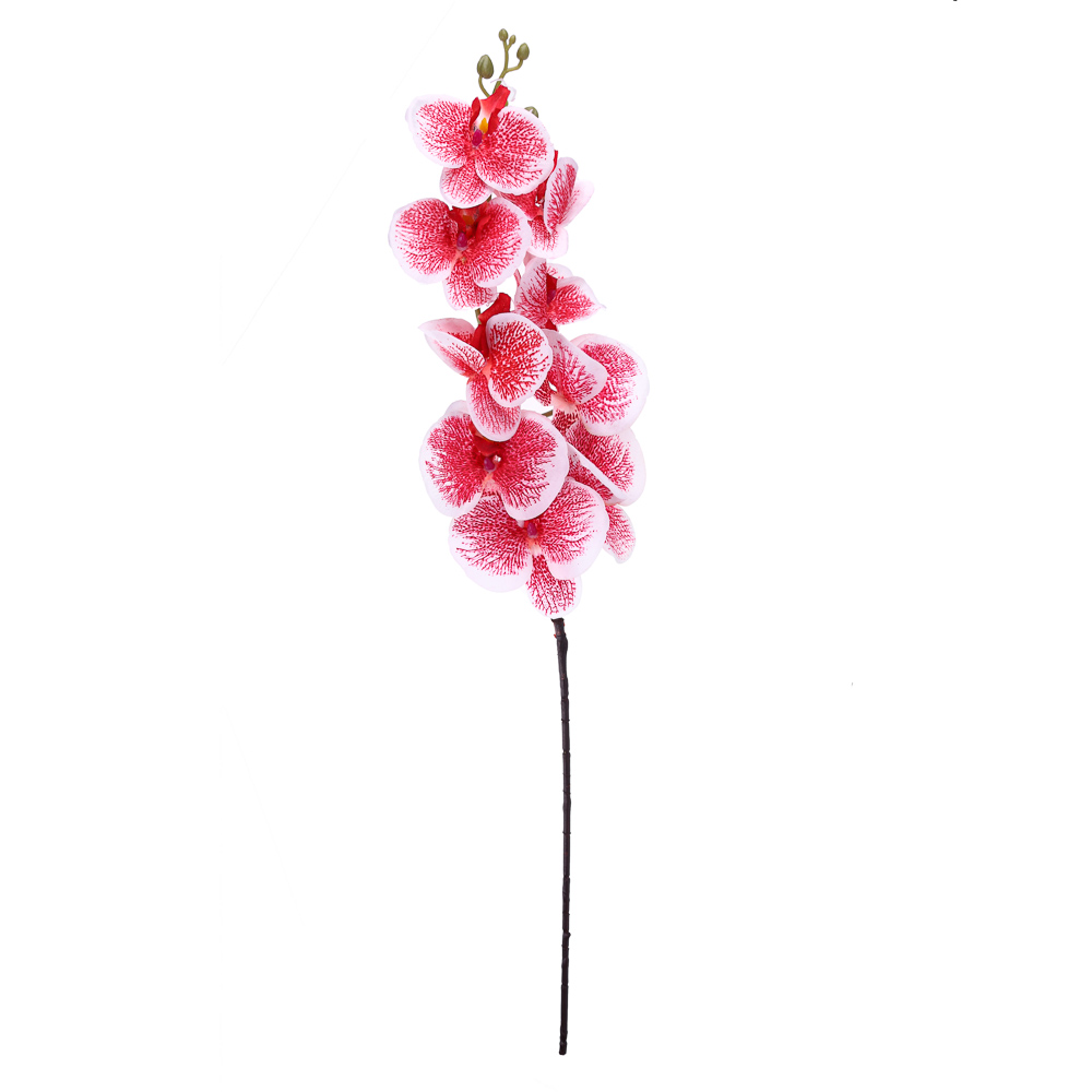 Ветка орхидеи декоративная Ladecor, 75 см - #2