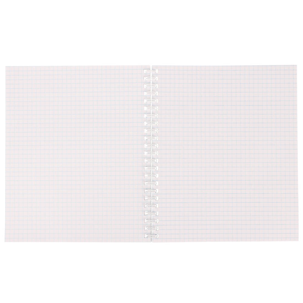 Тетрадь общая на спирали 80л. в клетку, обл.мел. картон, БЕЛЫЕ ЛИСТЫ, микс - #5