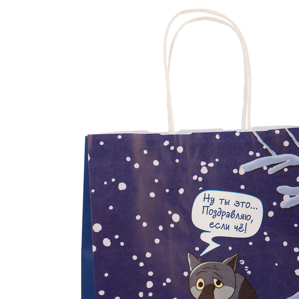 Пакет подарочный с кручеными ручками 24х14х30 см, «Жил-был Пёс. Поздравляю, если чё» внутри белый - #3